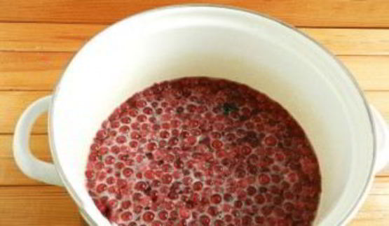 красная смородина с сахаром