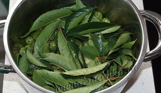 царское варенье из крыжовника