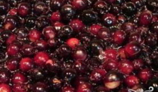 варенье из ирги