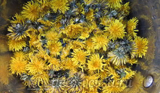 варенье из одуванчиков