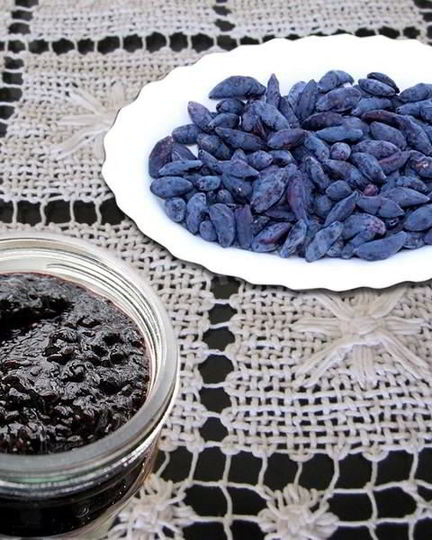 Рецепт варенья из жимолости на зиму