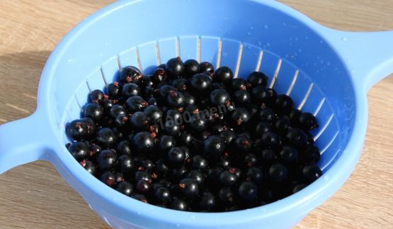 варенье желе из черной смородины на зиму