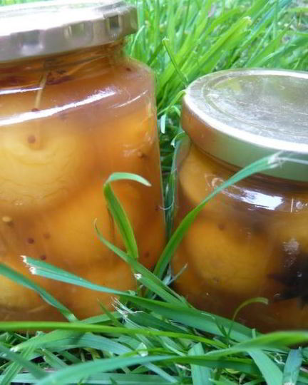 Рецепт яблок, моченых на зиму