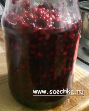 Заготовка брусники