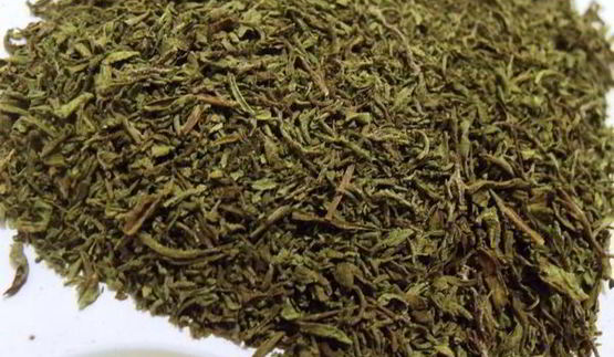 заготовка пряности — чабер, эстрагон