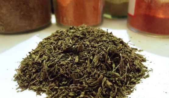 заготовка пряности — чабер, эстрагон