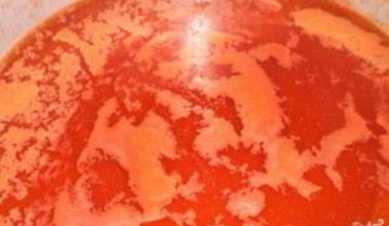 закатка фаршированного перца