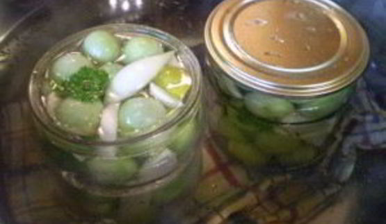 закатка зеленых помидоров на зиму