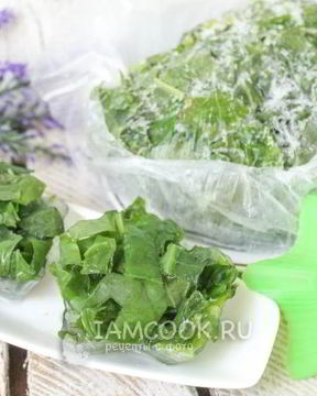 Заморозка щавеля на зиму