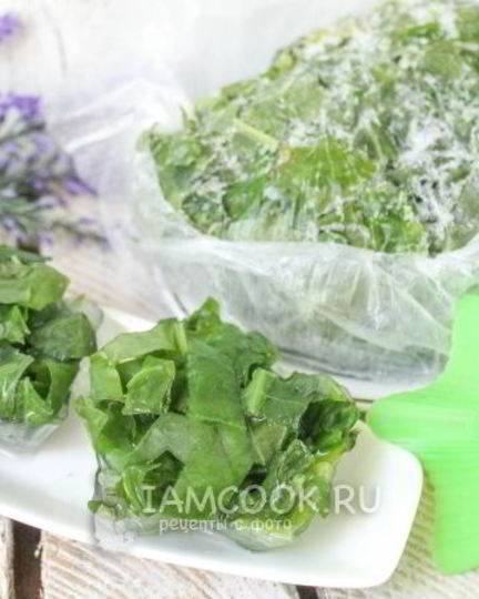 Рецепт заморозки щавеля на зиму