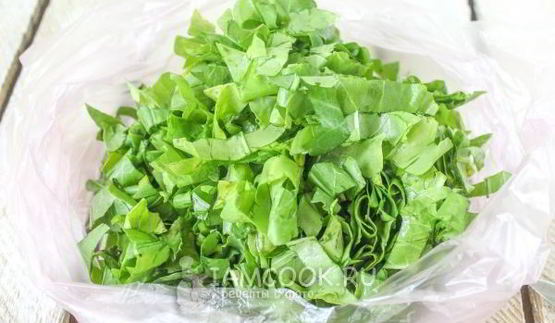 заморозка щавеля на зиму