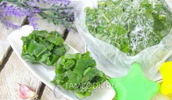 заморозка щавеля на зиму