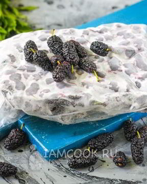 Заморозка шелковицы на зиму