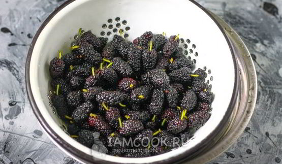 заморозка шелковицы на зиму