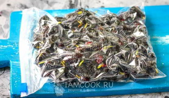 заморозка шелковицы на зиму