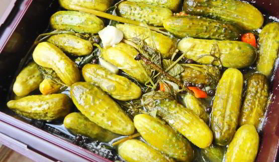 засолка бочковых огурцов на зиму