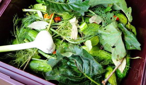 засолка бочковых огурцов на зиму