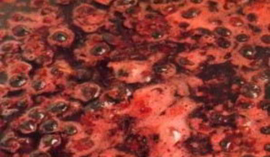 желе из черной смородины на зиму