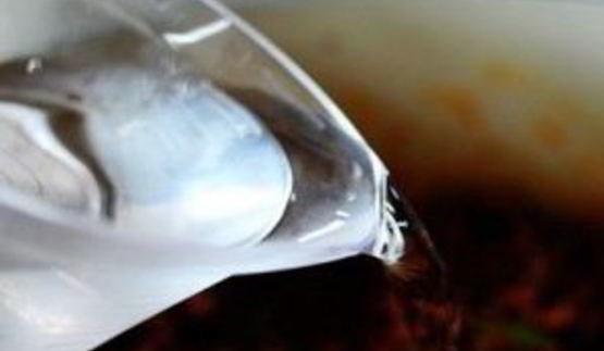 американский бутерброд с говядиной