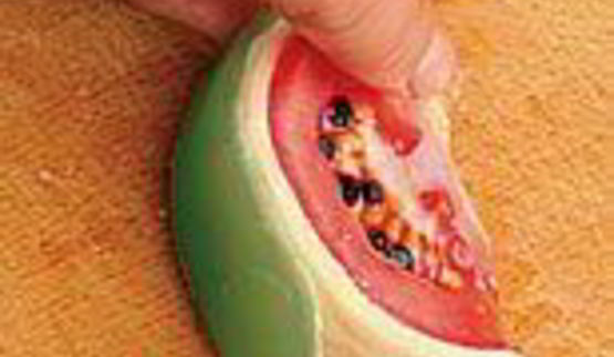 бутерброд с арбузом