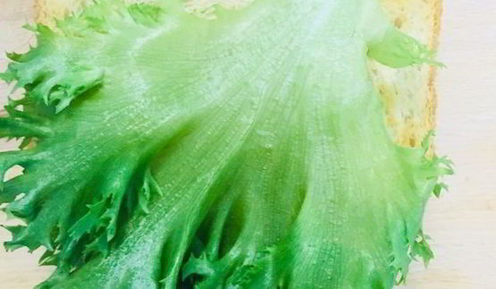 бутерброд с консервированным тунцом