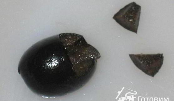 бутерброды кот и пес