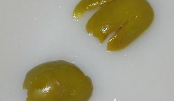 бутерброды кот и пес