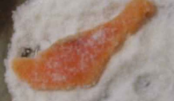 форель бутербродная