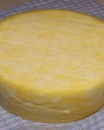 Голландский твердый сыр