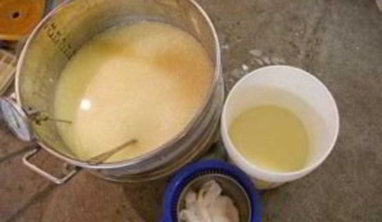 голландский твердый сыр