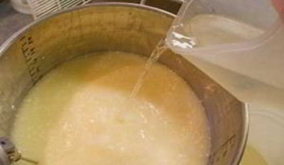 голландский твердый сыр