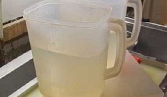 голландский твердый сыр