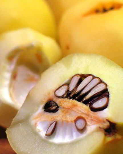 Рецепт омлета с айвой