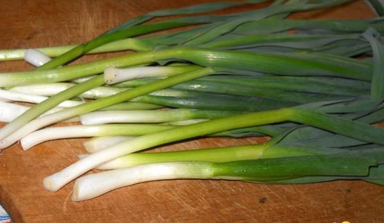 омлет с одуванчиками