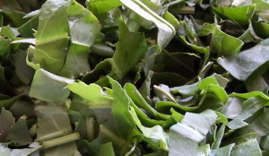 омлет со щавелем