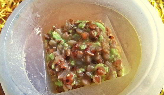 порционный омлет с гречкой