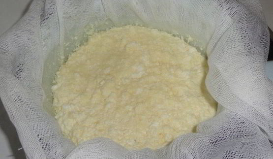 плавленый сыр из творога