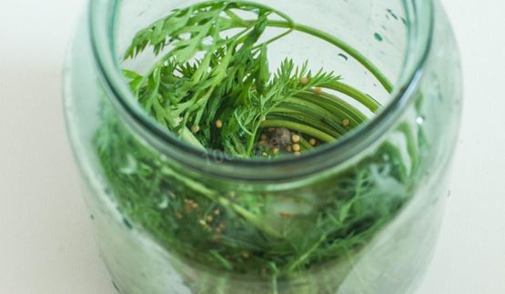 помидоры с морковной ботвой на литровую банку