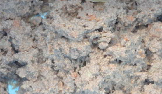 рулет из куриной печени с сыром