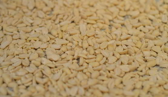 рулет медовый с карамелью и арахисом