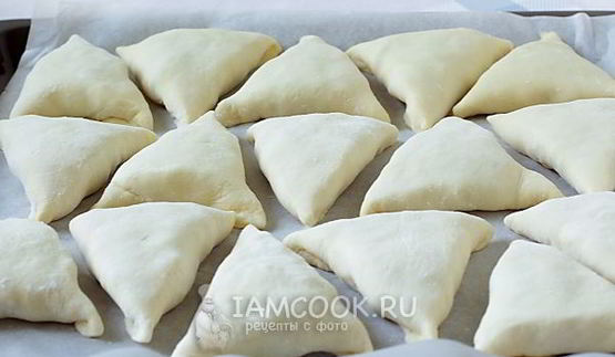 самса с курицей