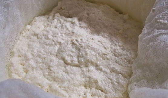 сыр фромаж блан домашний