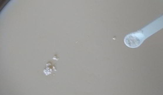 сыр качотта с вялеными помидорами