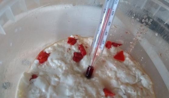 сыр качотта с вялеными помидорами