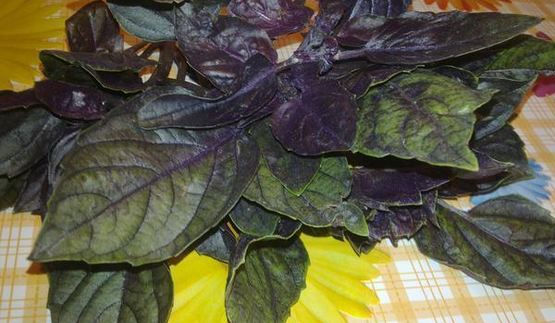 закуска из арбуза с фетой и базиликом